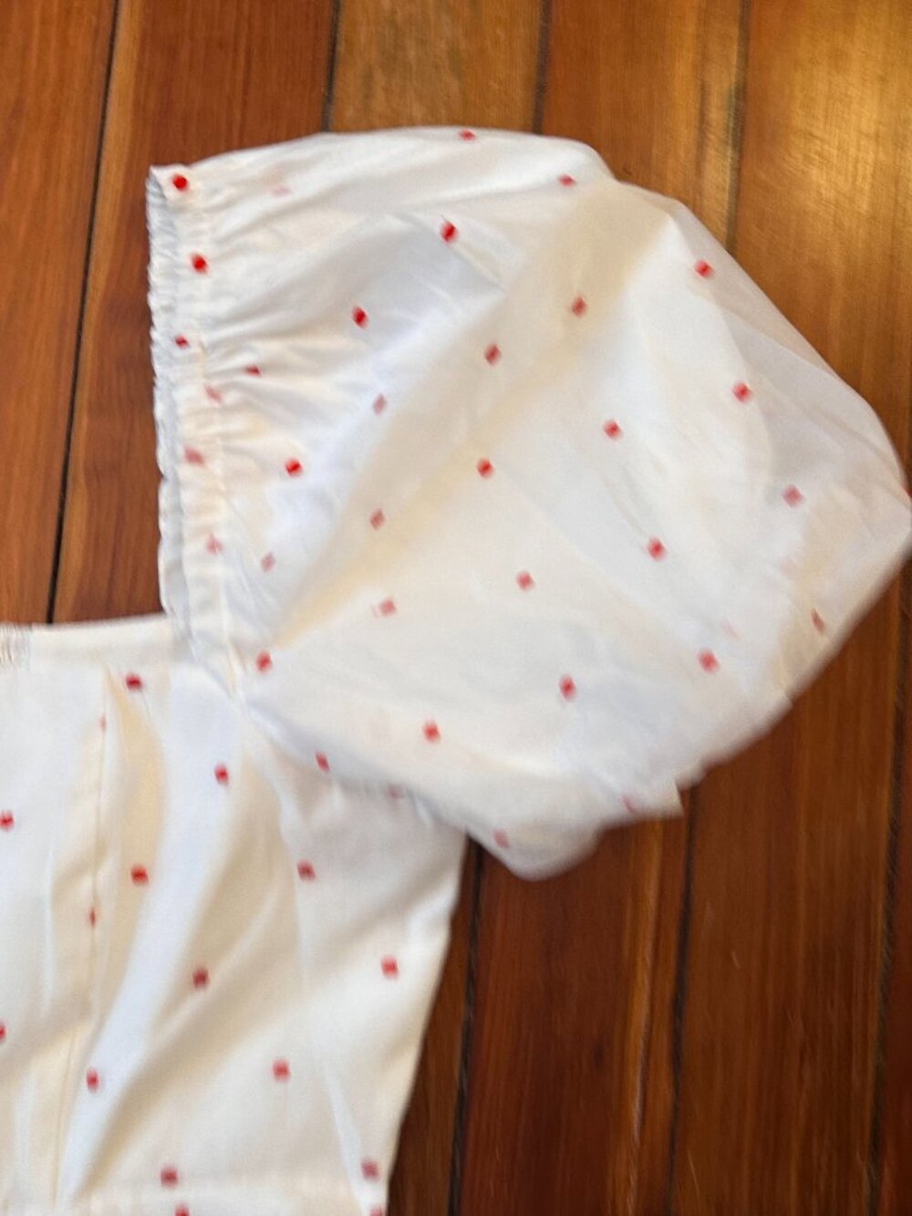 NWT Hill House Matilda Mini Dress Cherry Organza Dot - Picture 5 of 8